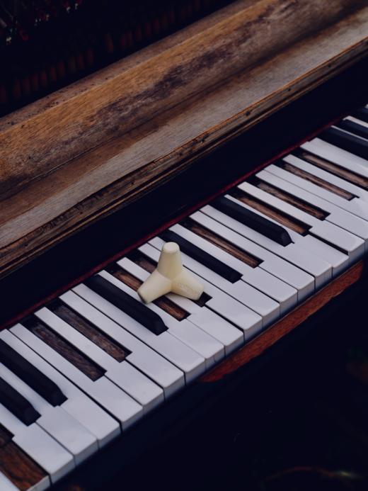 cottee消波块扩香石 商品图4