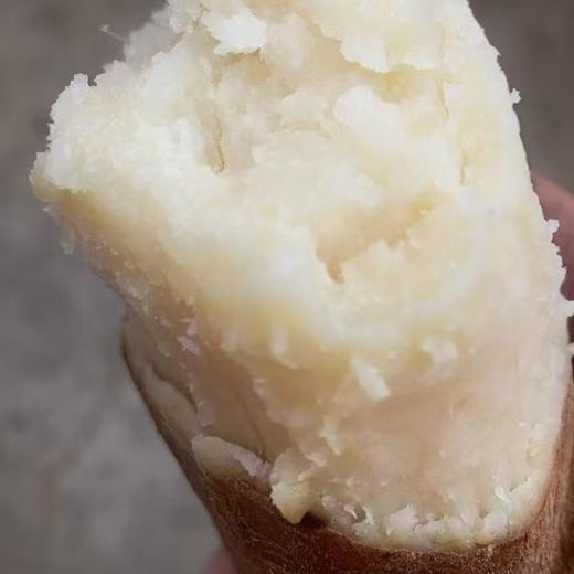 果果家精选老品种芋头 生态自然农法种植新鲜现挖5斤装 商品图1