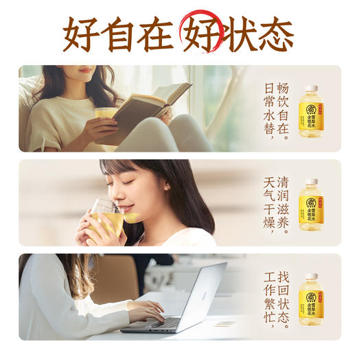 元气森林 好自在金银花雪梨水500mL*15 甄选食材 清润回甘 久喝不腻 48小时发货 商品图4