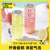 柠檬共和国（Lemon Republic）气泡果汁饮料 300ml*12瓶 常温饮料0脂 商品缩略图0