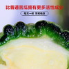条里司山苦瓜茶 商品缩略图3