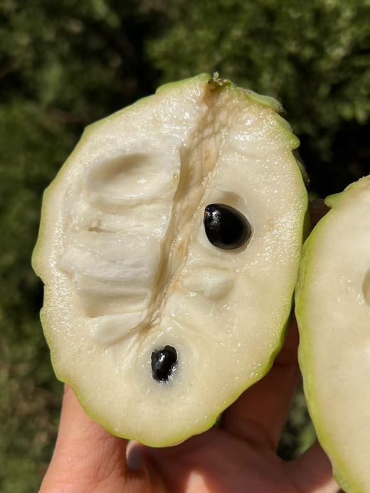 凤梨释迦果 果香浓郁 甜蜜嫩滑 冰淇淋般细腻丝滑 商品图4