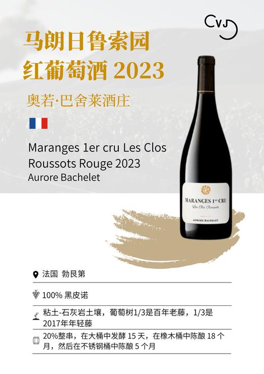Aurore Bachelet  奥若·巴舍莱酒庄马朗日一级园鲁索园红葡萄酒 2023 商品图1