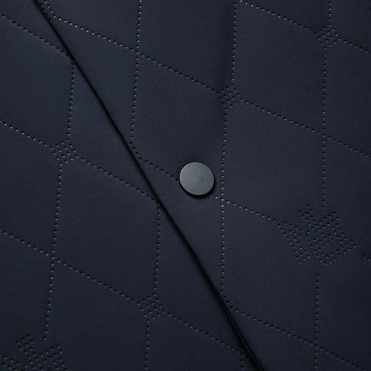 含桑蚕丝填充 翻领棉衣 商品图11