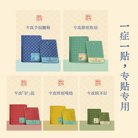 真不二 藏药膏药贴2盒装