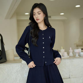 奢姿大码女装2025秋季减龄绣花设计时尚针织衫胖妹妹圆领百搭上衣9453669910A