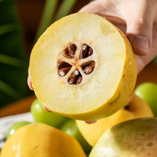 云南大理白花酸木瓜|高山种植，无污染0农残 商品图0