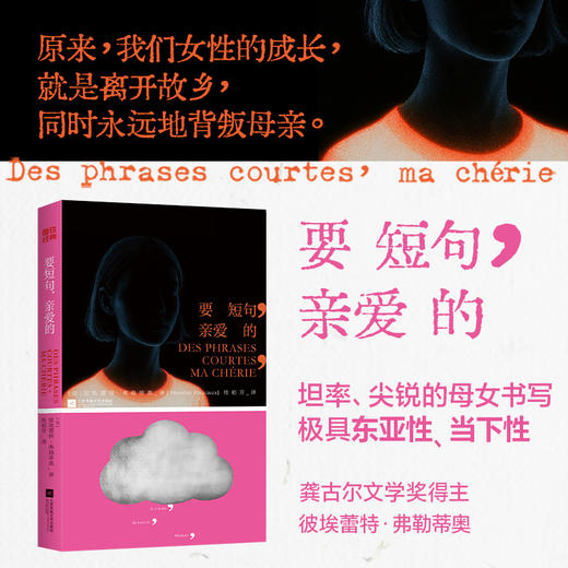 要短句，亲爱的 彼埃蕾特·弗勒蒂奥 龚古尔文学奖得主作品 小说文学 最坦率尖锐的母女书写女性的成长励志原生家庭 磨铁图书正版 商品图3