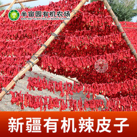 半亩园新疆有机辣皮子200g*2袋