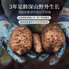 新鲜天麻云南昭通非干货深山野外生长可泡酒煲汤送礼顺丰包邮 商品缩略图3