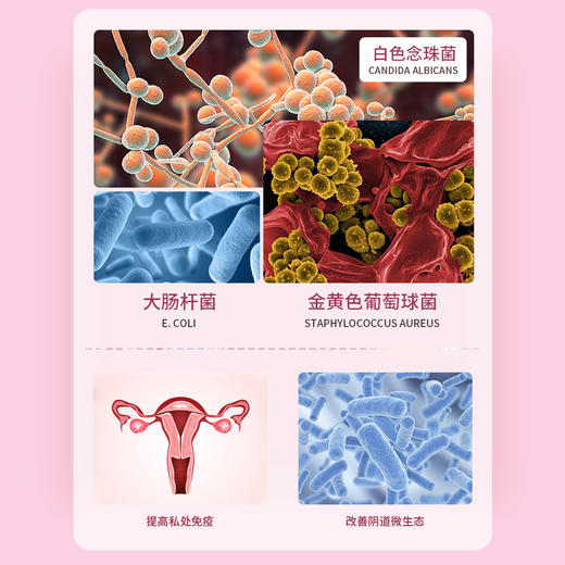 【呵护健康！拍1发5！】舒奈美活性益生菌乳酸杆菌抑菌粉 女性私护抑菌妇科清洁益生菌胶囊 平衡收紧抑菌粉 商品图2
