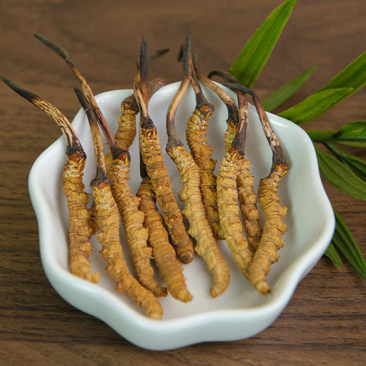 万物本草甄选 纯野生鲜晒高原冬虫夏草 自然晾晒不熏硫 纯野生冬虫夏草 商品图2