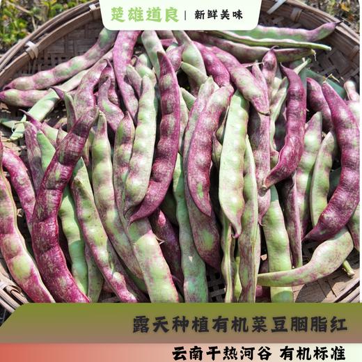 绿康源老品种四季豆  露天有机生态种植新鲜采摘时令蔬菜【顺丰快递】 商品图1