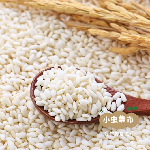 【2025年秋收新粮】生态香禾糯米 500g/袋 | 合作农友生产，来自贵州黎平洋洞村，生产者：杨邦荣 &【公平贸易农人定价】 商品图2