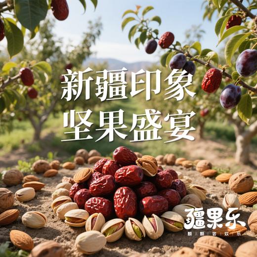 【疆果乐】小号A款礼盒770g 商品图3