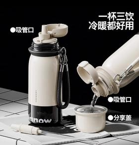 Vanow保温杯吸管2025新款高颜值陶瓷/不锈钢内胆水杯  520ml