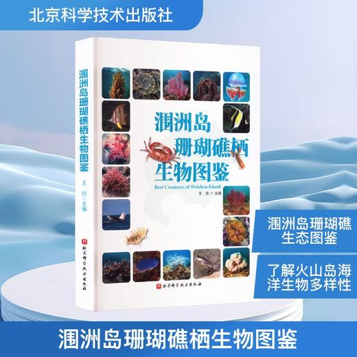 涠洲岛珊瑚礁栖生物图鉴 商品图0