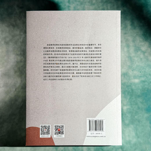 县级教师发展机构专业能力建设研究 刘胜男 课程教学改革 商品图2