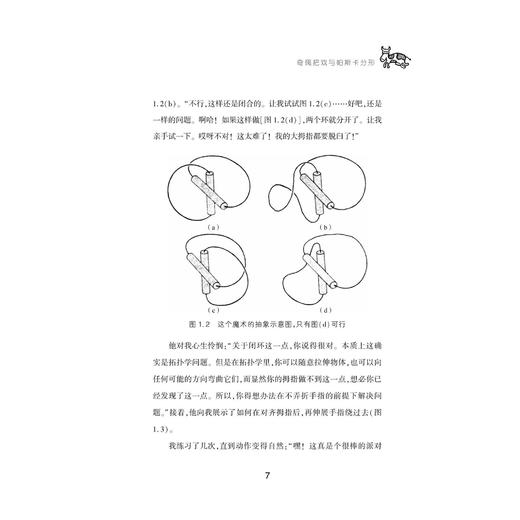 《伊恩·斯图尔特数学游戏全集》（全10册） 商品图12