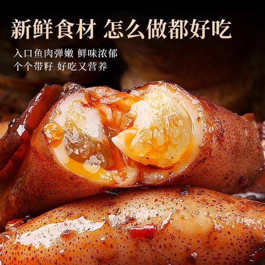 【满籽笔管鱼】带籽率高达95%肉质劲道 饱满弹嫩 商品图1