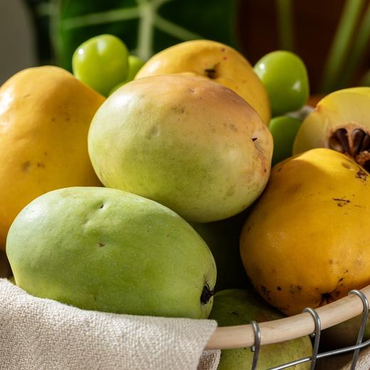 云南大理白花酸木瓜|高山种植，无污染0农残 商品图13