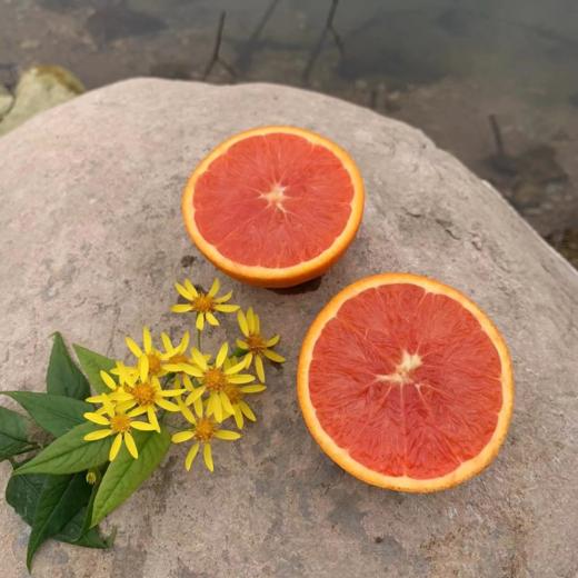 林权橙橙子九月红橙子  生态种植当季新鲜水果大小混装 约9.5斤【京东快递】 商品图4