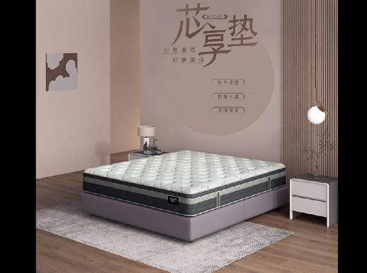 床垫/90-M1066 商品图0