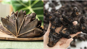 化橘红黄精等食用指南