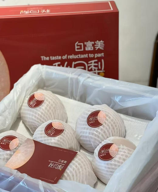 礼盒装白秋月梨富美 商品图5