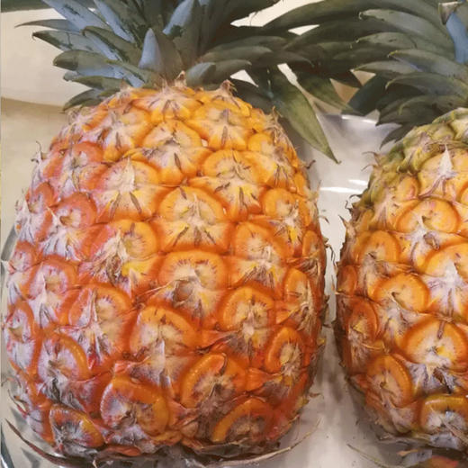 版纳凤梨  生态种植当季新鲜采摘水果 5斤装【现摘现发不接急单】 商品图1