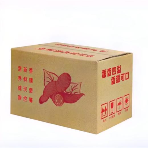 板栗香薯5斤家庭装  沙地种植粉糯香甜  无丝板栗香 商品图5