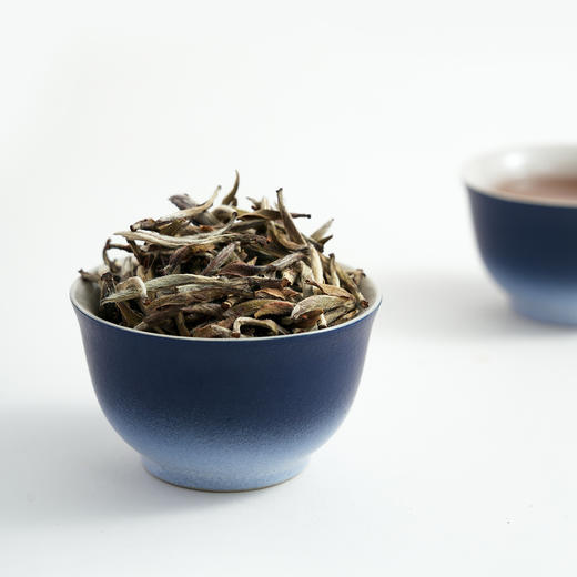 2021 抛荒老树银针精品罐装40G 商品图5