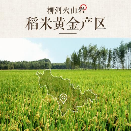 火山岩有机生态大米 火山岩种植矿泉水灌溉 9月当月新米 0农残0重金属0黄曲霉菌 高钙高omega 商品图6