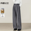 【内购】【含绵羊毛】都市通勤松紧腰立体双褶藏肉显瘦宽松长裤镰刀裤-153K58921 商品缩略图0
