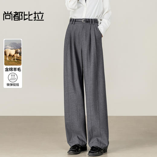 【内购】【含绵羊毛】都市通勤松紧腰立体双褶藏肉显瘦宽松长裤镰刀裤-153K58921 商品图0