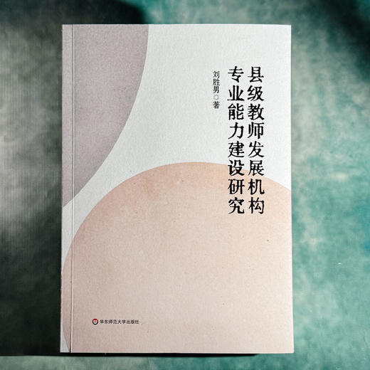 县级教师发展机构专业能力建设研究 刘胜男 课程教学改革 商品图1