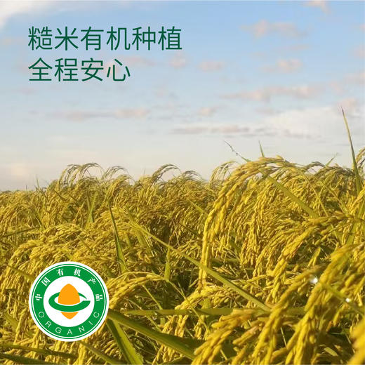 福娘素养有机糙米奶 200ml*10盒 商品图2