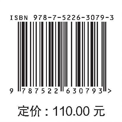 城市缺资料流域防洪排涝决策支持系统构建 商品图3