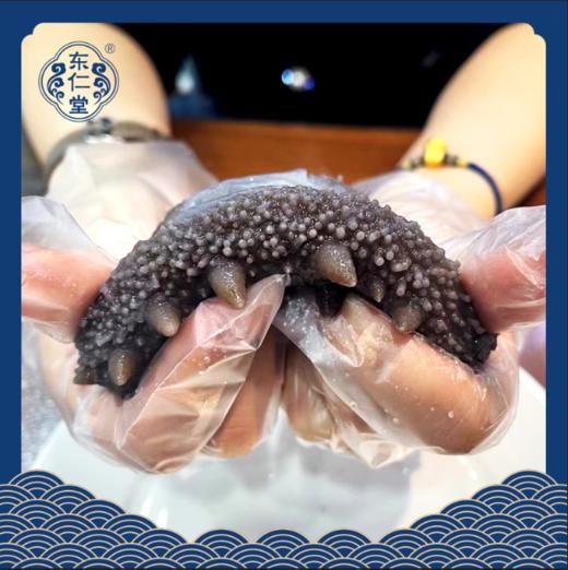 东仁堂即食海参/鲜食海参，远离大陆的底播海参，自然生长，肉质肥厚， 商品图0