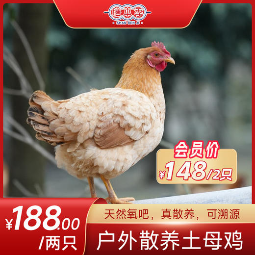 膳本季皖南山林散养【炖汤母鸡2只装】 无抗养殖认证 SGS国际权威检测 非笼养示范基地 自然生长的慢速鸡 商品图0