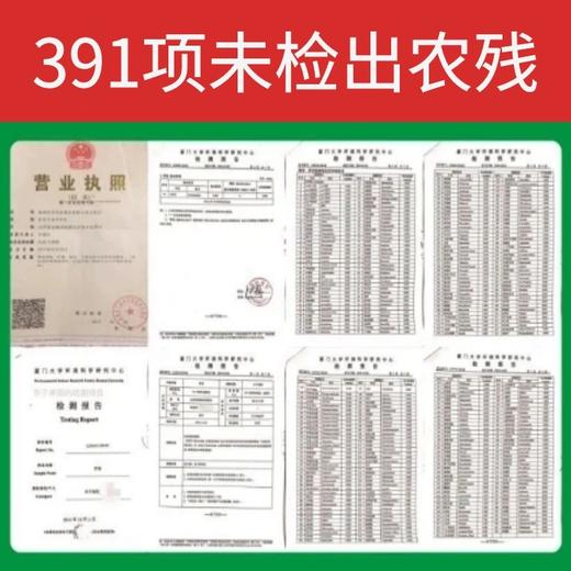 幸子果园晚熟红富士苹果 自然农法种植10年当季新鲜采摘水果净果约8.5斤【顺丰包邮】 商品图3