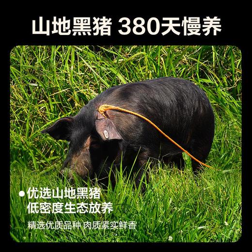 网易严选黑猪精选部位肉(黑猪里脊肉 500g*3) 商品图2