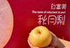 礼盒装白秋月梨富美 商品缩略图1