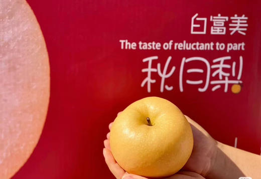 礼盒装白秋月梨富美 商品图1