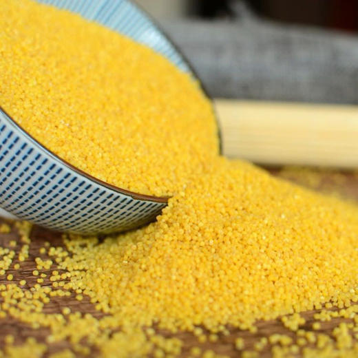 陕北小米 商品图2