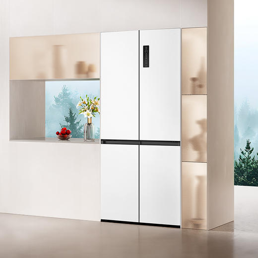 TCL 523升T9 Pro十字对开四开门双系统双净味超薄零嵌入式底部散热冰箱 R523T9-UQS 商品图11