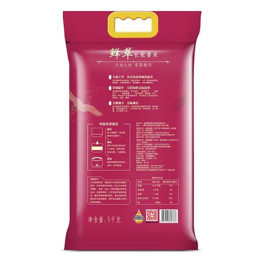 金龙鱼 鲜萃长粒香米5KG 商品图1