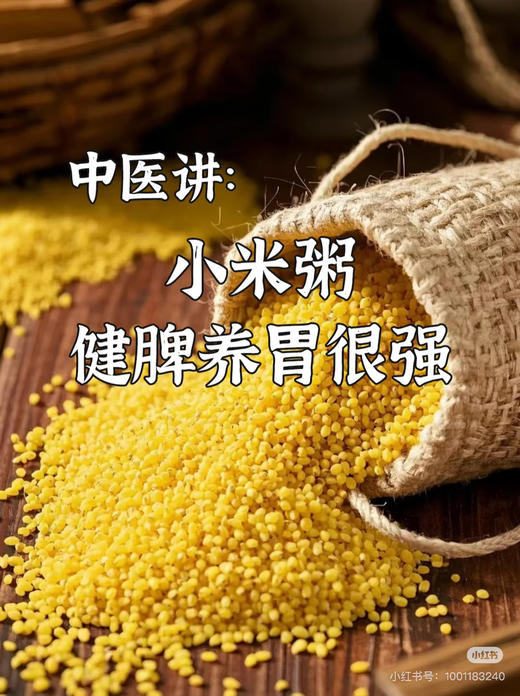 陕北小米 商品图4