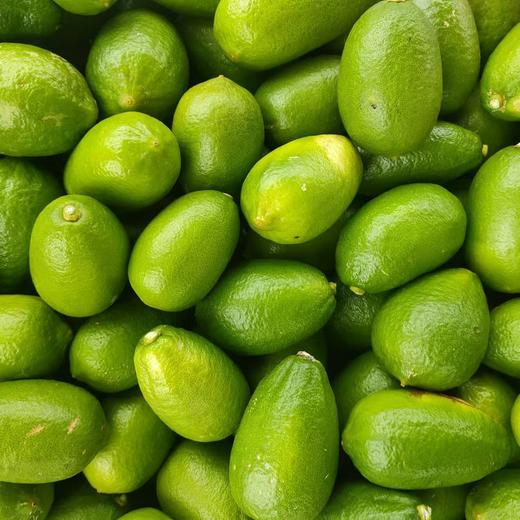 谷风有机香水柠檬  云南红河有机种植当季新鲜采摘水果3斤/5斤装 商品图1