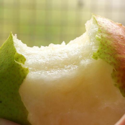 铁家果缘玉露香梨  酵素生态种植六不用种植当季新鲜采摘水果 5斤装【顺丰包邮】 商品图4
